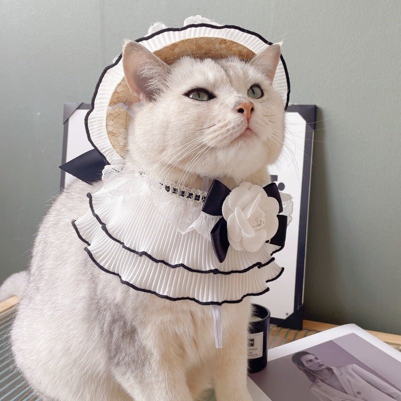 Pet ruffle collar on cat: white ruffles, black trim, ribbon bows, flower and pearl detail