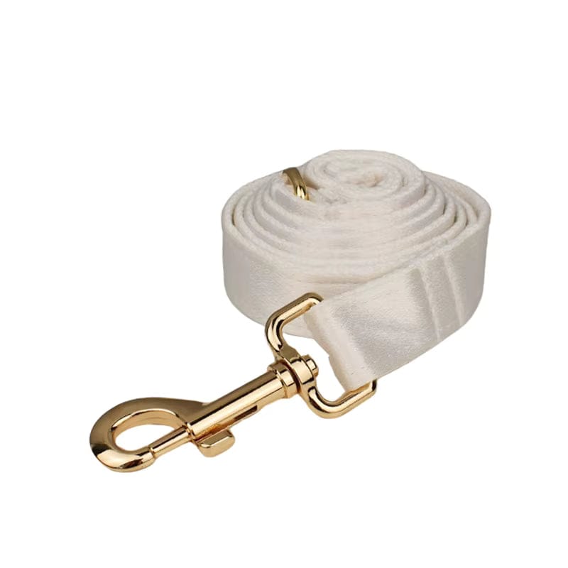 {{product_title}} - Cookies Wagging Friends Boutique