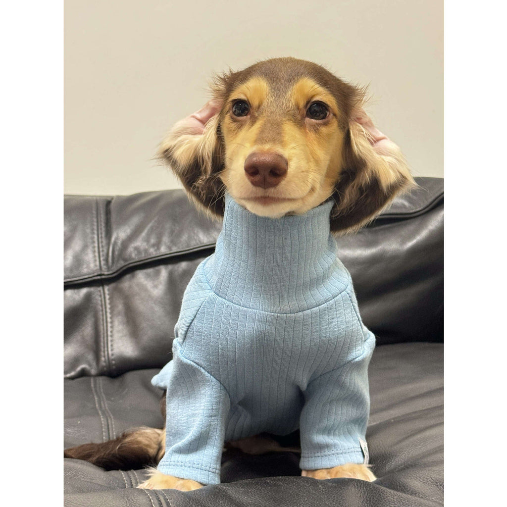{{product_title}} - Cookies Wagging Friends Boutique