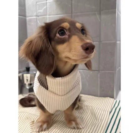 Cream knit pet sweater with brown shoulder panel and ribbed turtleneck