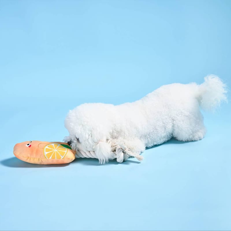 {{product_title}} - Cookies Wagging Friends Boutique