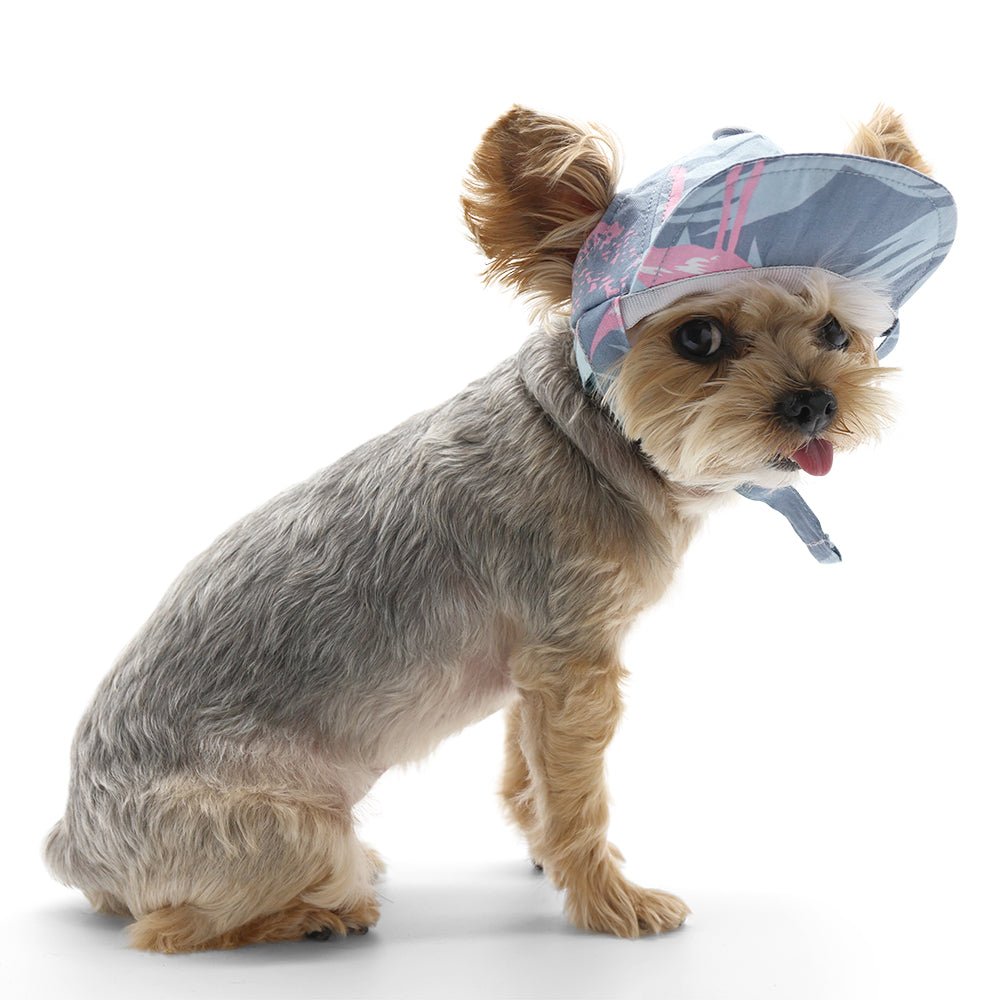 Light blue dog hat with flamingo print and chin strap, worn on small dog.
