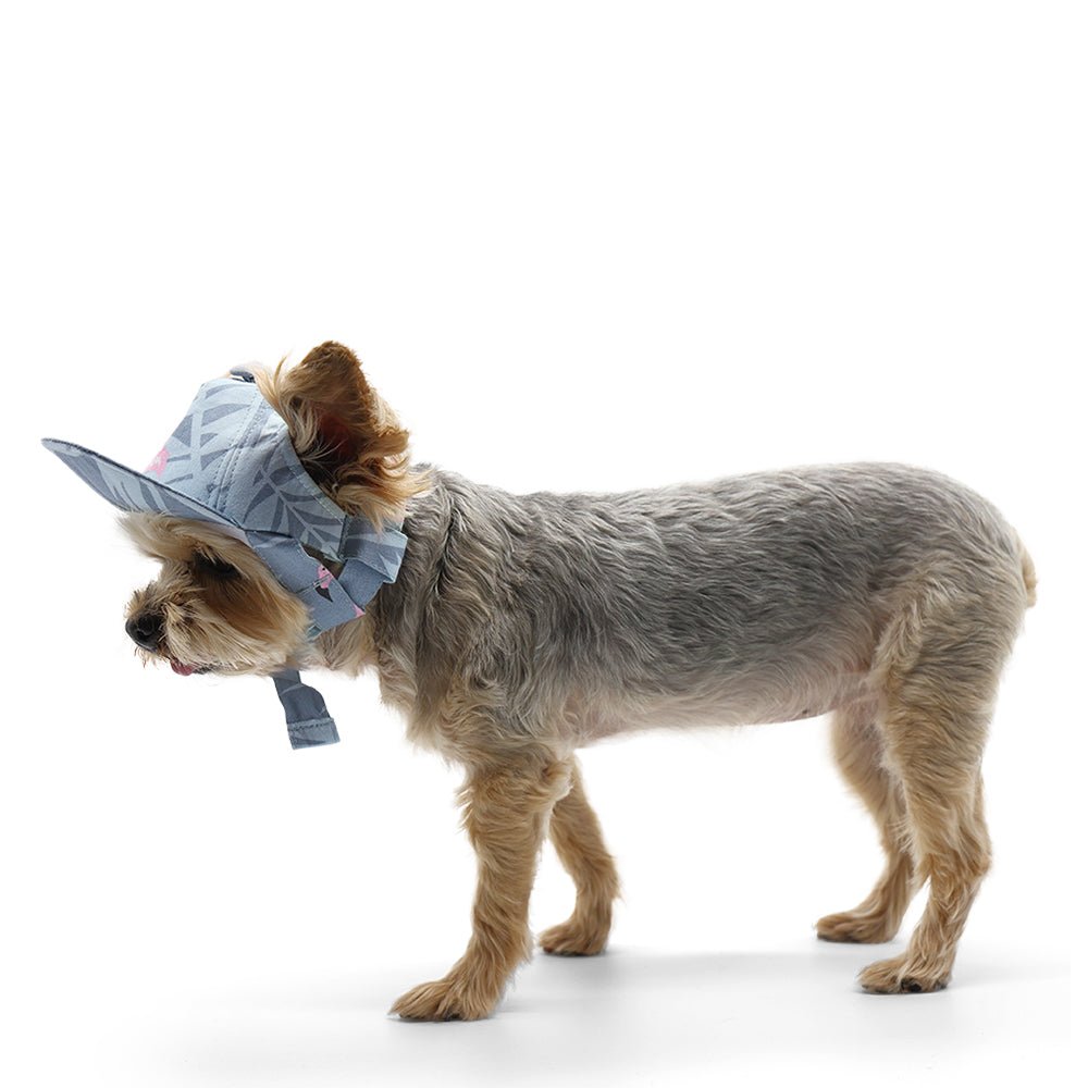 Light blue flamingo dog hat with wide brim and tie strap, side view on dog.