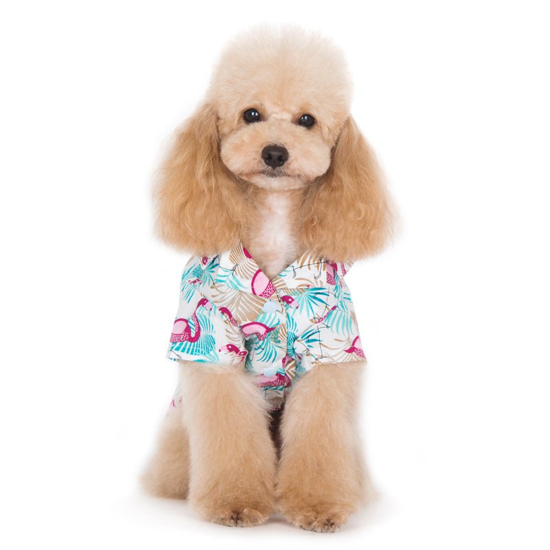 Small dog wearing a turquoise-and-pink flamingo print shirt with short sleeves and buttons