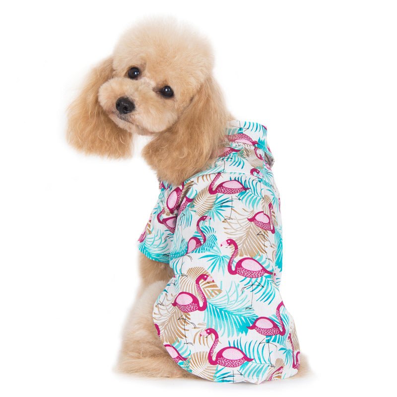 Dog in a turquoise-and-pink flamingo print shirt, side view, short sleeves and buttons