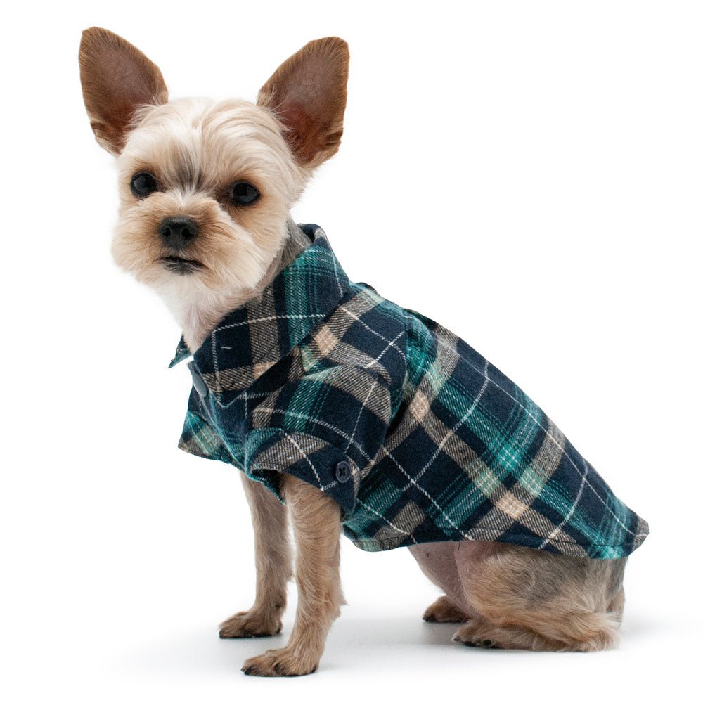 Green plaid flannel button-down shirt on a small dog with snap buttons