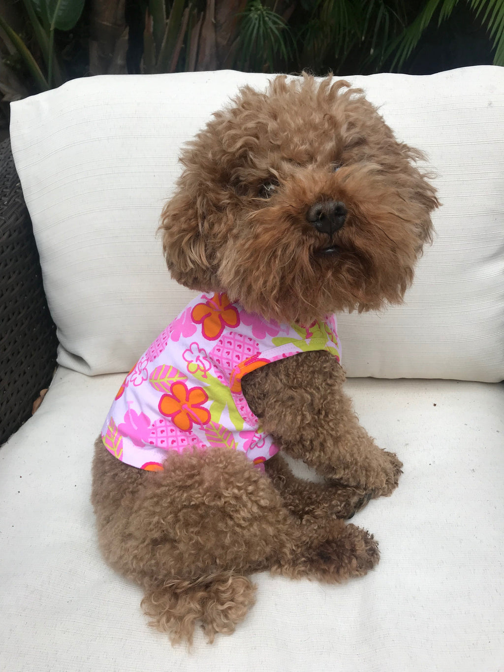 {{product_title}} - Cookies Wagging Friends Boutique