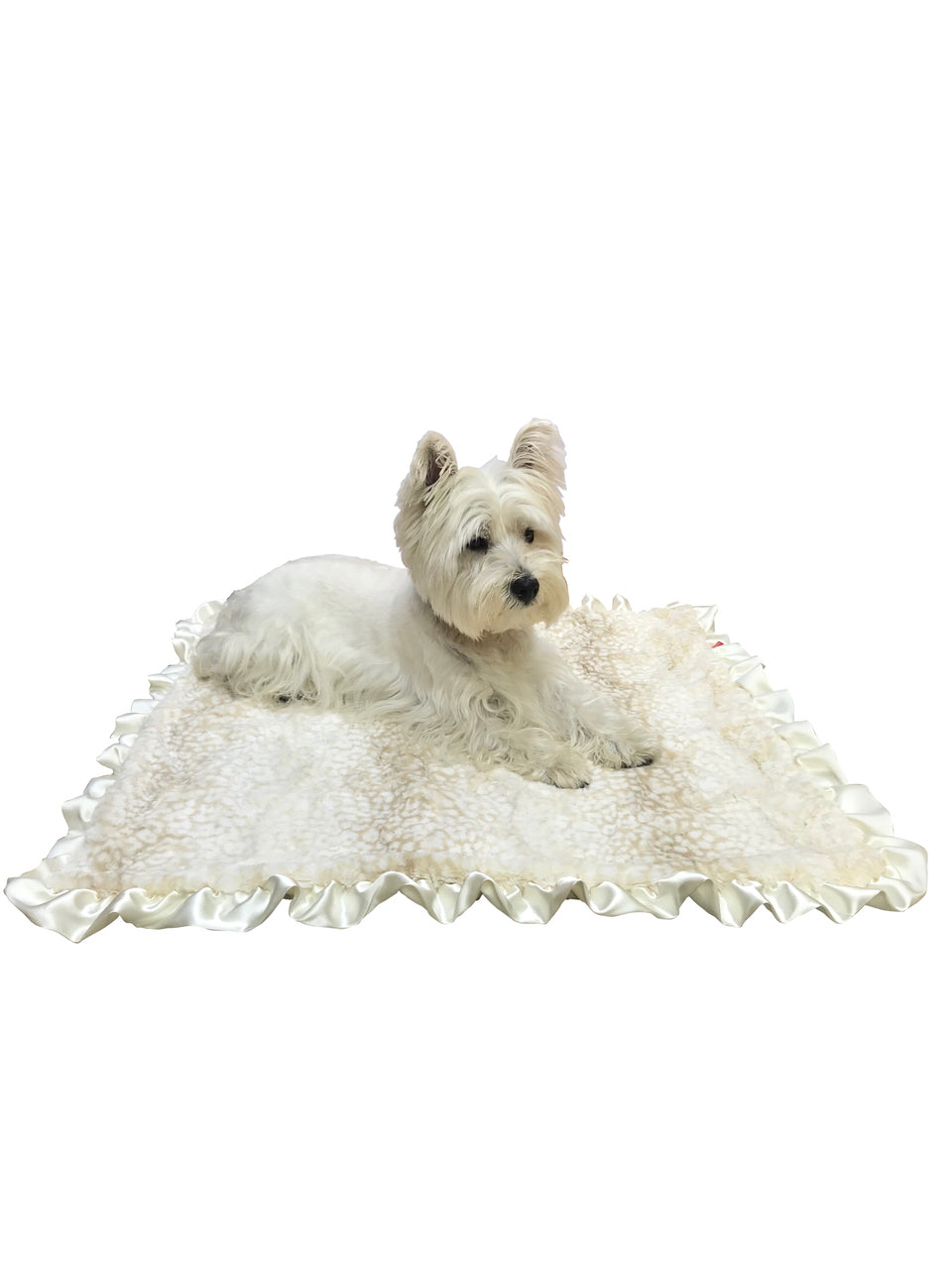 {{product_title}} - Cookies Wagging Friends Boutique