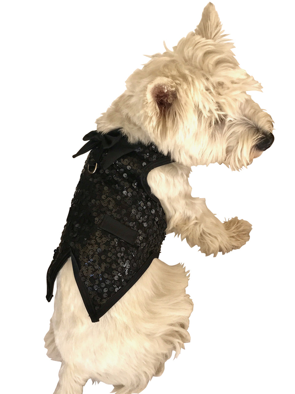 {{product_title}} - Cookies Wagging Friends Boutique