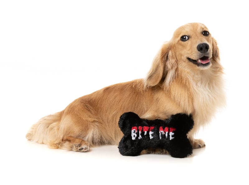 Halloween Bite Me Bone Black Plush Squeaky Dog Toy Fursace Luxury Dog Plush Toy - Red Squeaky | Cookies Wagging Friends Boutique Cookies Wagging Friends Boutique