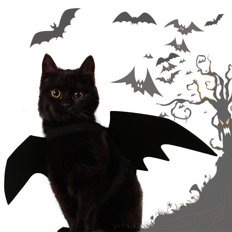 Black bat-wing pet costume with attached neck harness, worn by a black cat.