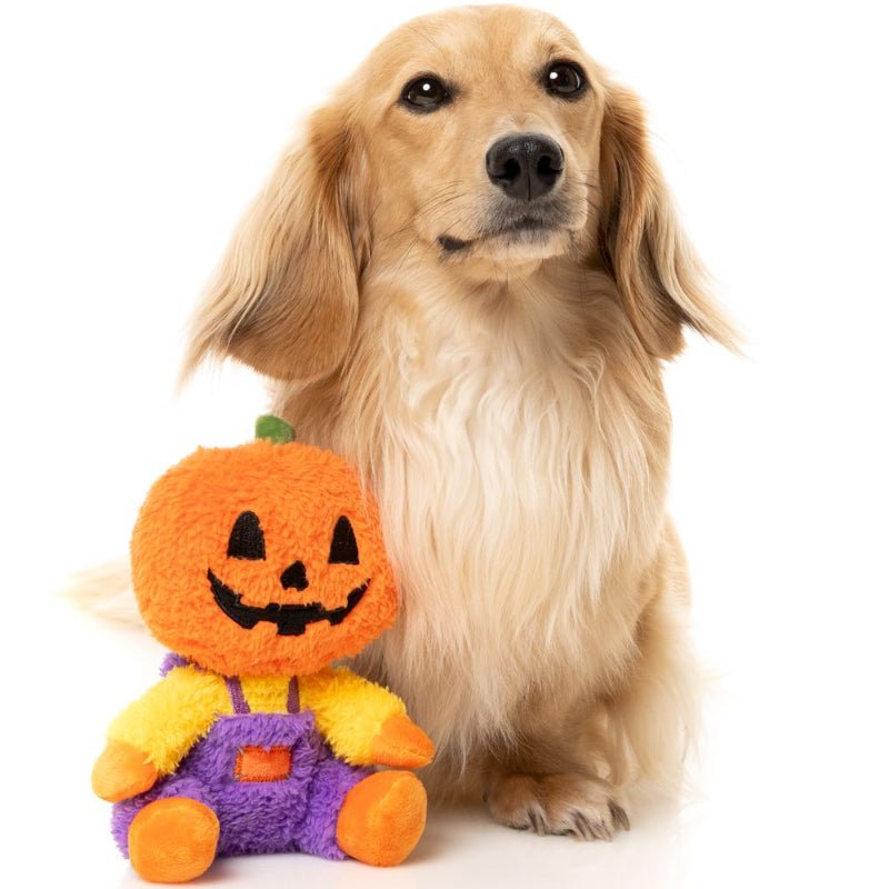Halloween Pumpkin Jack O Chan Fall Season Plush Squeak Dog Toy - Sm Size Fursace Luxury Dog Plush Toy - Red Squeaky | Cookies Wagging Friends Boutique Cookies Wagging Friends Boutique