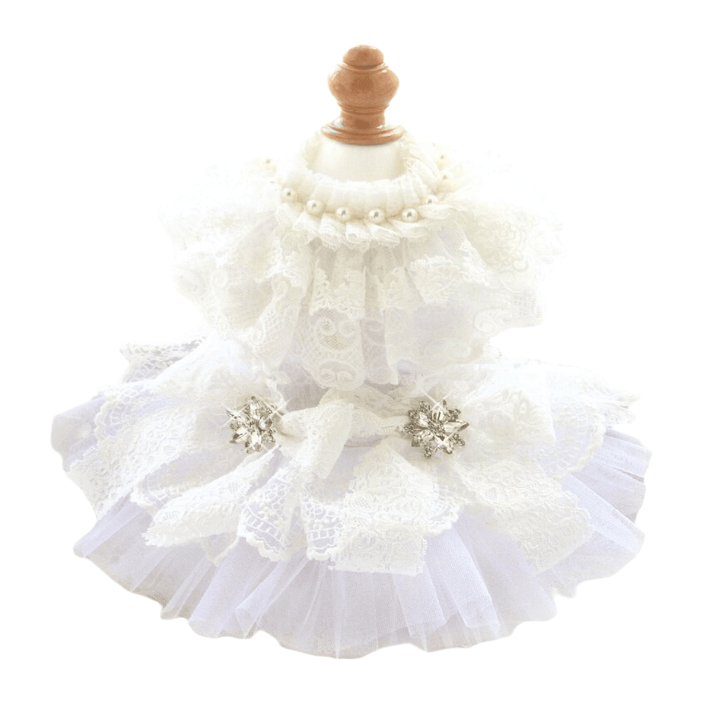 Ivory lace vintage dog wedding dress with layered tulle skirt and gold star embellishments