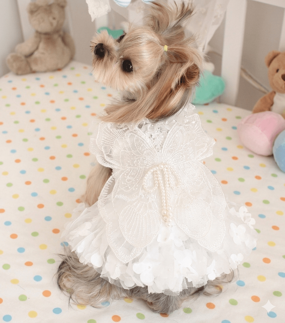 White lace pet dress with pearl button center and layered ruffle skirt