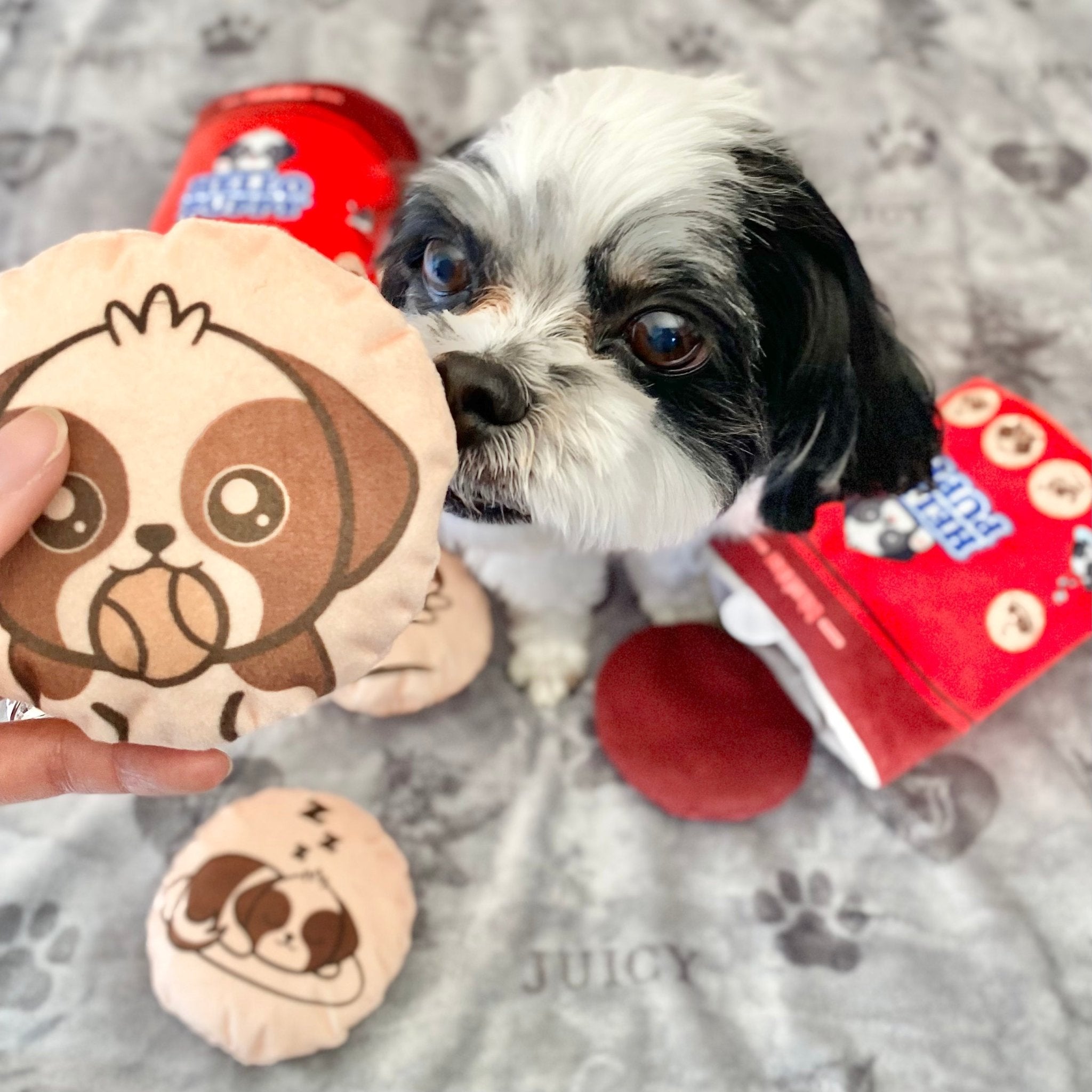 Close-up of beige dog-face plush held near red plush cylindrical dog toy