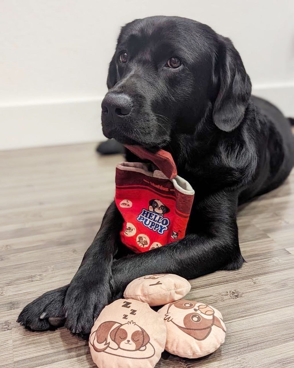 Red plush cylindrical dog toy with “Hello Puppy” logo, paired with two beige round squeaky toys