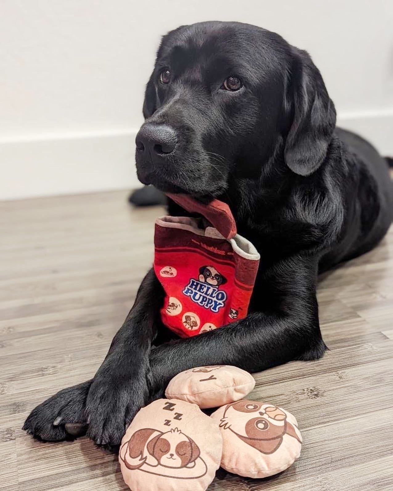 Red plush cylindrical dog toy with “Hello Puppy” logo, paired with two beige round squeaky toys