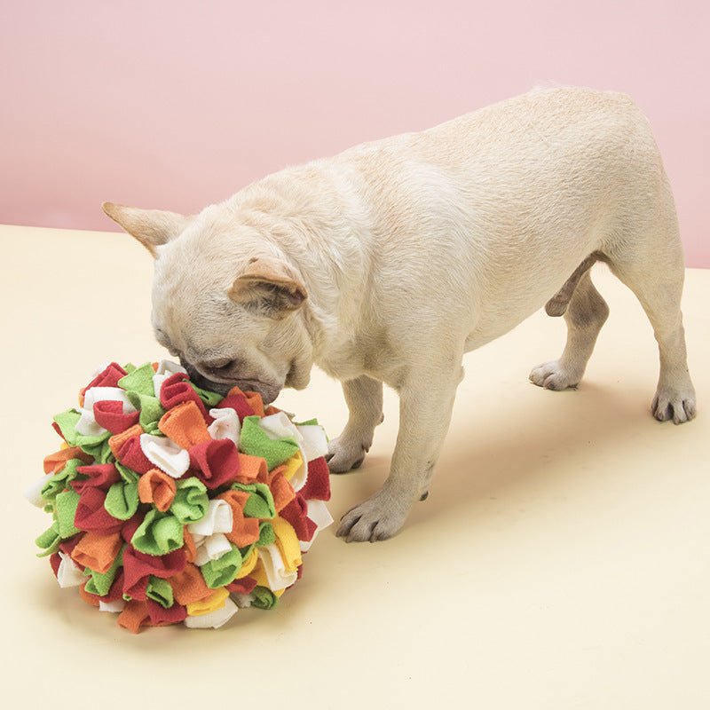 Multicolor felt chew toy ball for pets, being sniffed by a dog