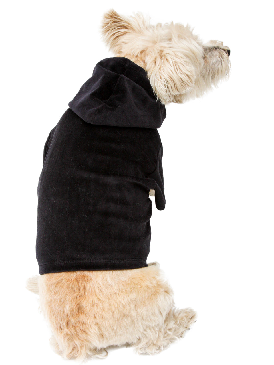 {{product_title}} - Cookies Wagging Friends Boutique
