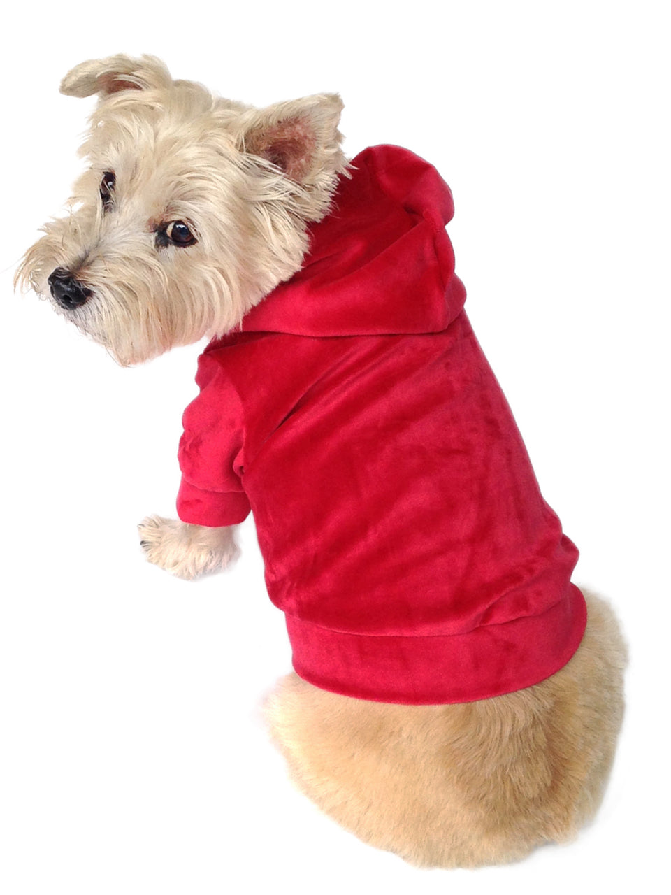 {{product_title}} - Cookies Wagging Friends Boutique