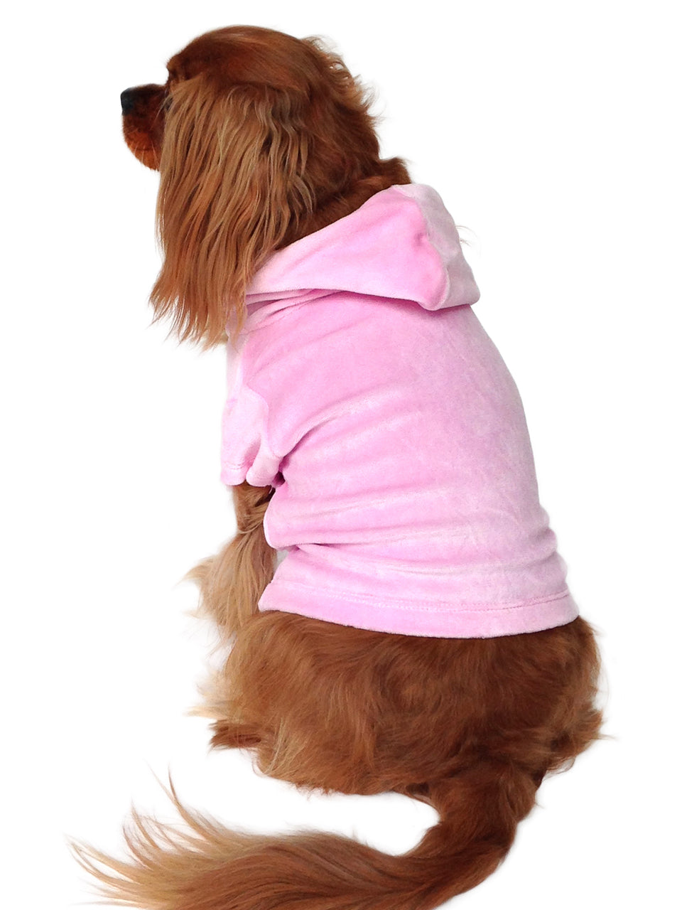 {{product_title}} - Cookies Wagging Friends Boutique