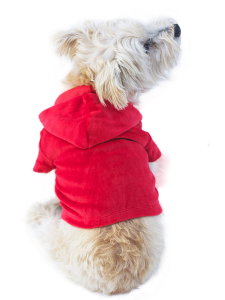 {{product_title}} - Cookies Wagging Friends Boutique