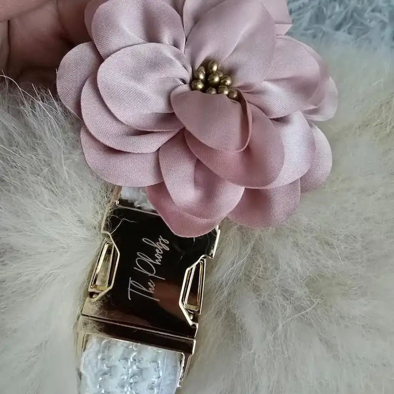 {{product_title}} - Cookies Wagging Friends Boutique