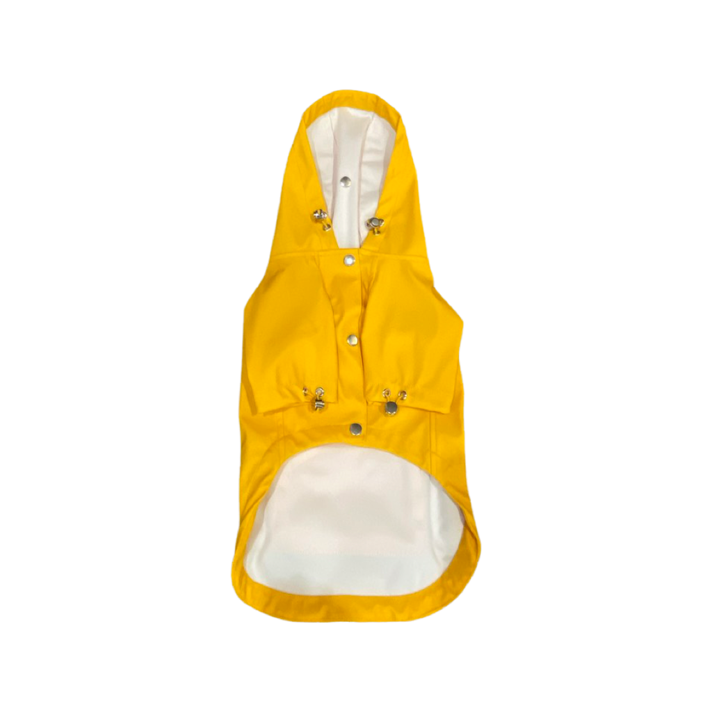 {{product_title}} - Cookies Wagging Friends Boutique