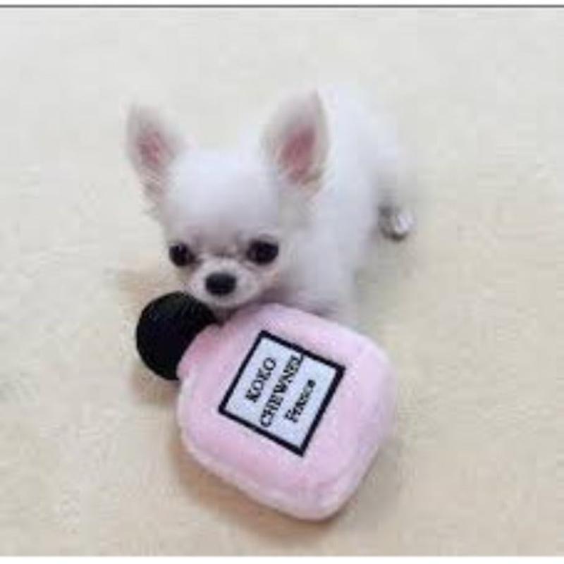 {{product_title}} - Cookies Wagging Friends Boutique