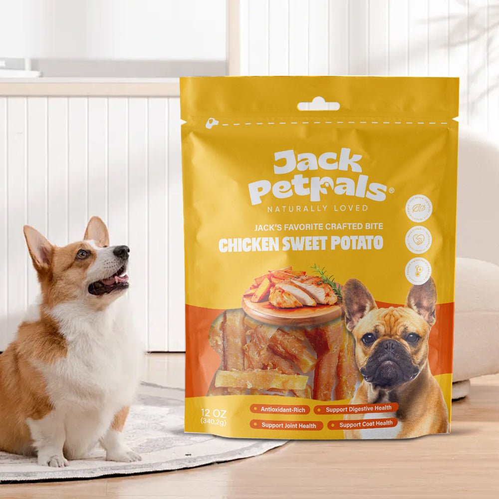 Jack PetPals chicken and sweet potato dog treat bag with dog standing beside it
