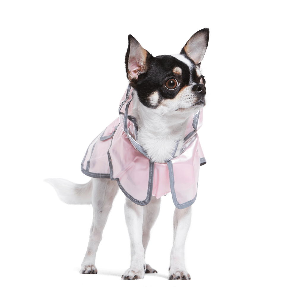 Pink hooded pet raincoat with reflective trim, worn by a Chihuahua standing