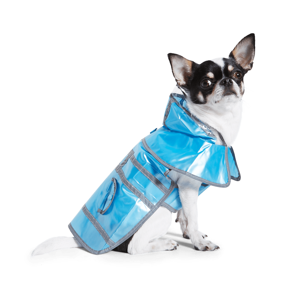 Blue hooded pet raincoat with reflective stripes, worn by a small dog sitting