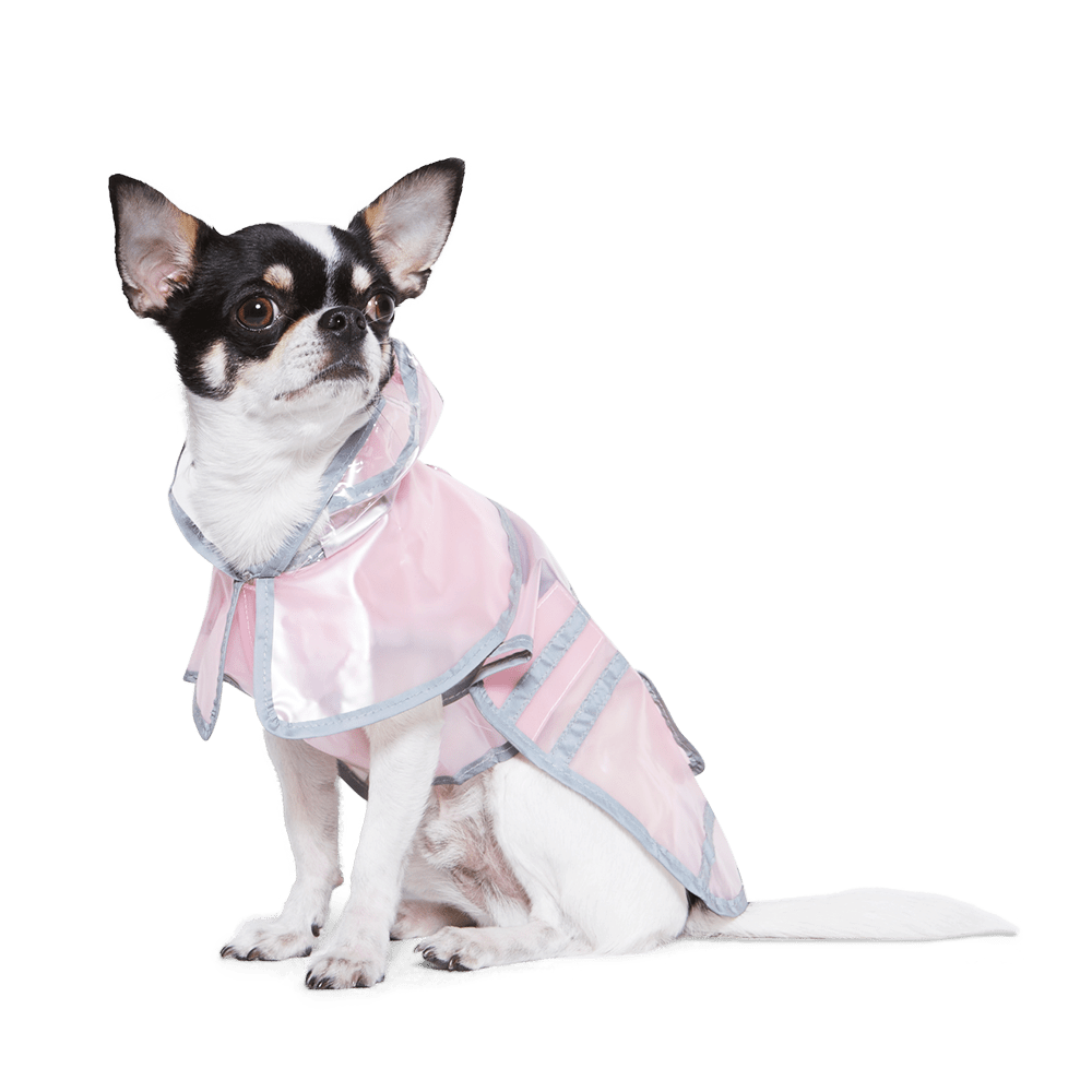Pink hooded pet raincoat with reflective stripes, worn by a Chihuahua sitting