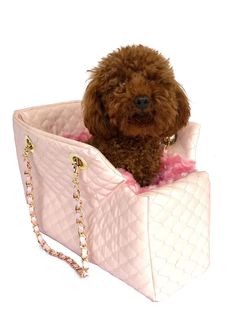 {{product_title}} - Cookies Wagging Friends Boutique