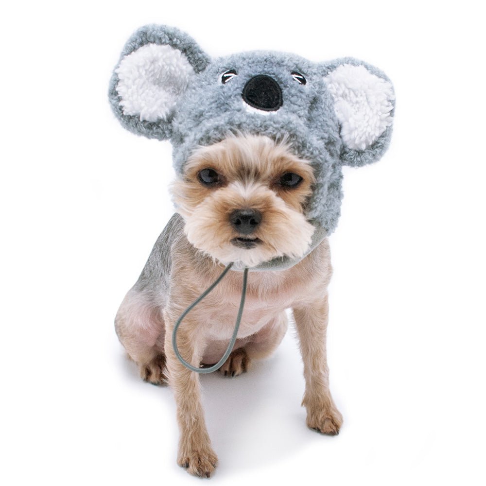 Gray plush koala pet hat on small dog, koala ears and chin strap for comfort.