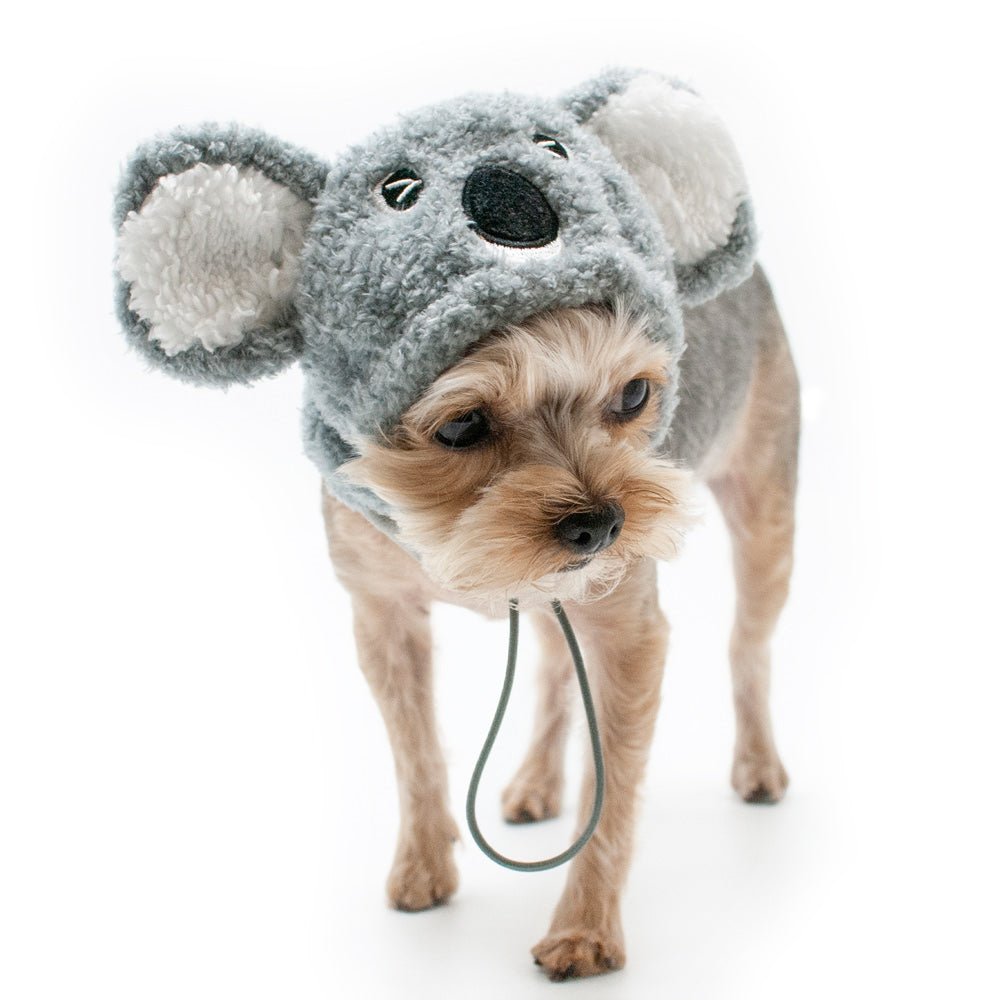 Gray plush koala pet hat with face detail and long chin straps, worn by small dog.