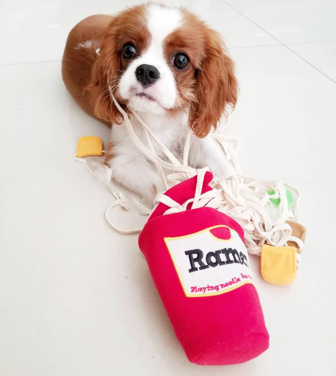 Red ramen plush dog toy with dangling noodle strings and yellow fabric accents