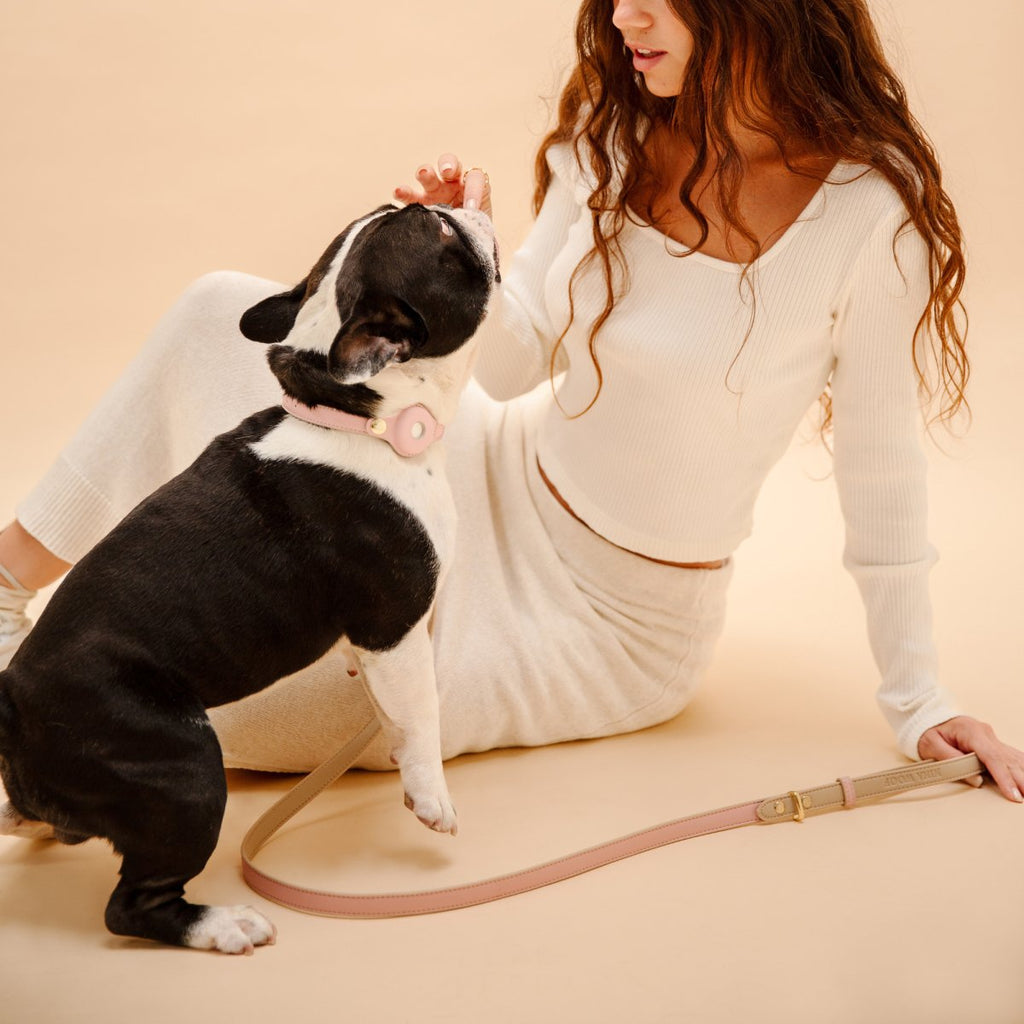 {{product_title}} - Cookies Wagging Friends Boutique