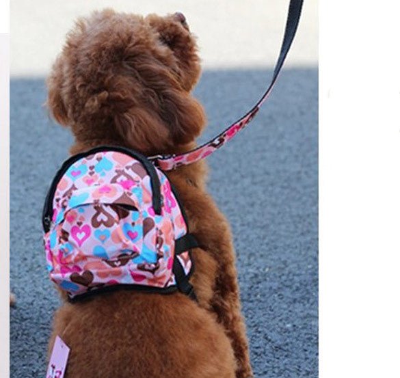 Pet dog leash with pink and heart print treat bag, shown on a small brown dog