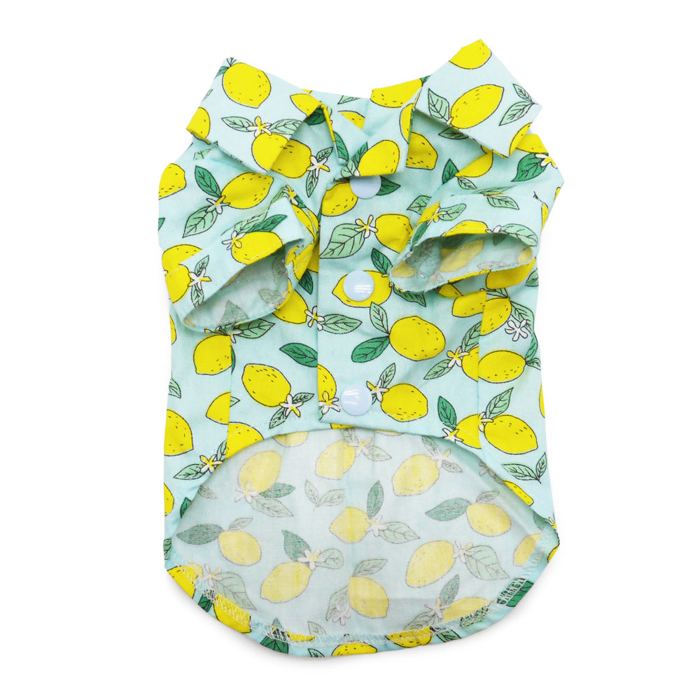 {{product_title}} - Cookies Wagging Friends Boutique