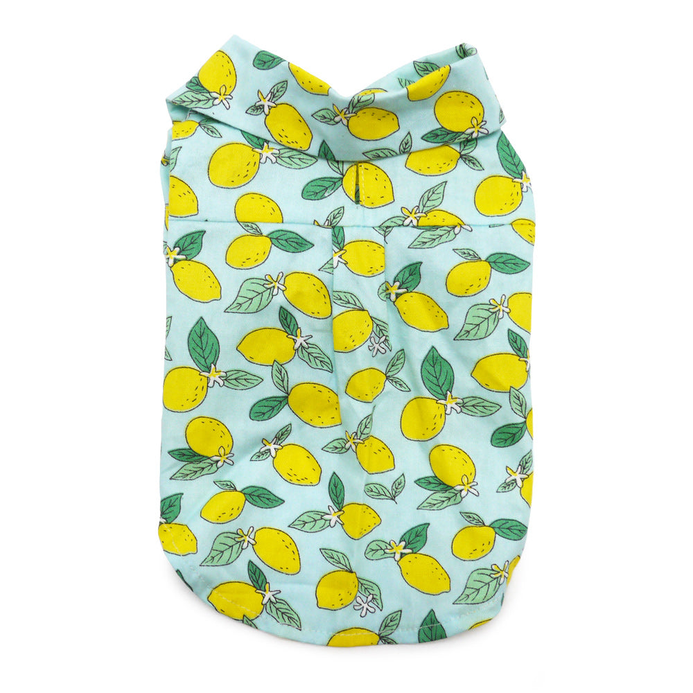 {{product_title}} - Cookies Wagging Friends Boutique