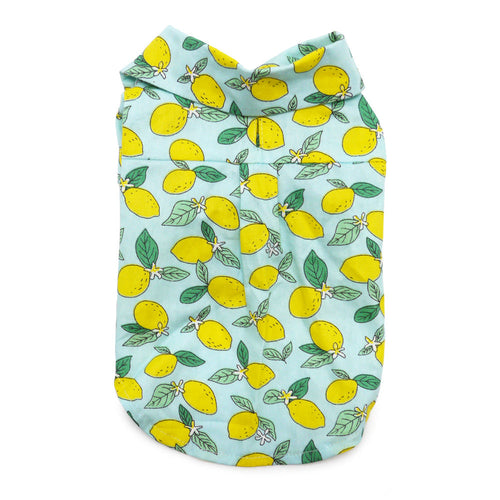 {{product_title}} - Cookies Wagging Friends Boutique