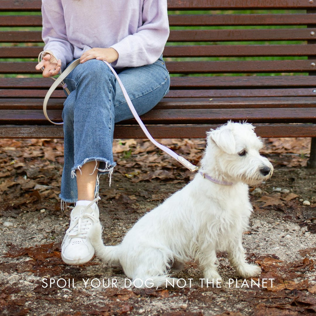 {{product_title}} - Cookies Wagging Friends Boutique