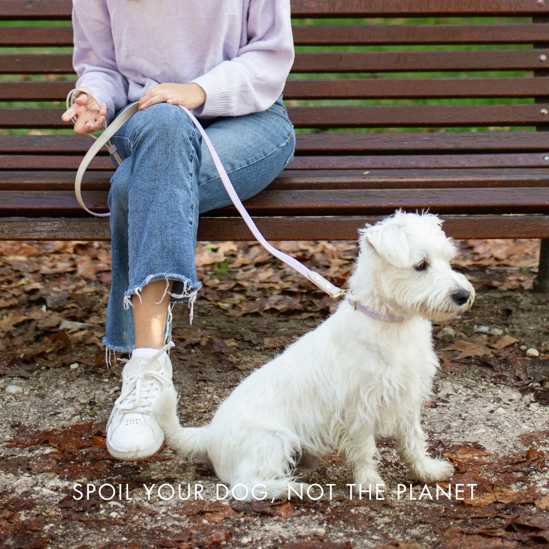 {{product_title}} - Cookies Wagging Friends Boutique