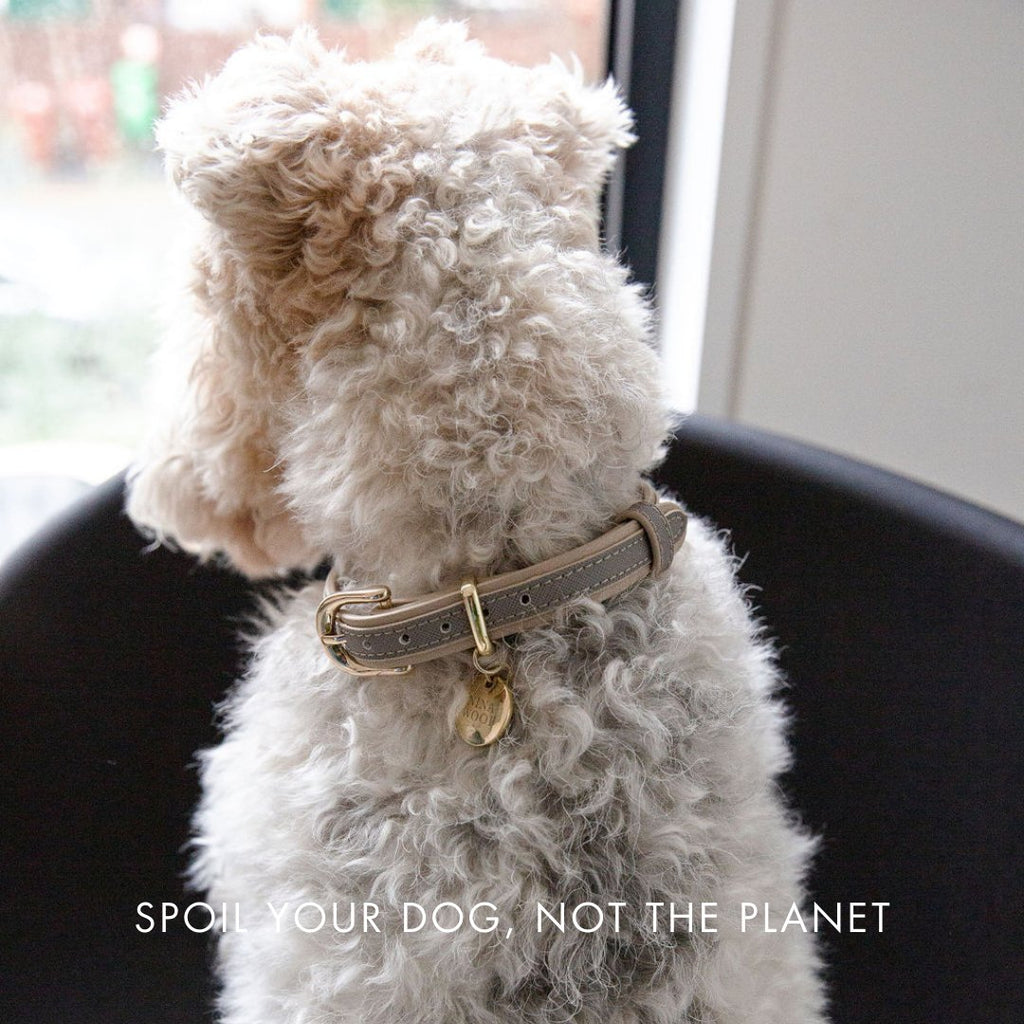 {{product_title}} - Cookies Wagging Friends Boutique