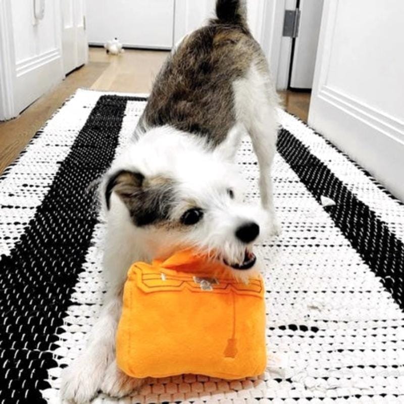 {{product_title}} - Cookies Wagging Friends Boutique
