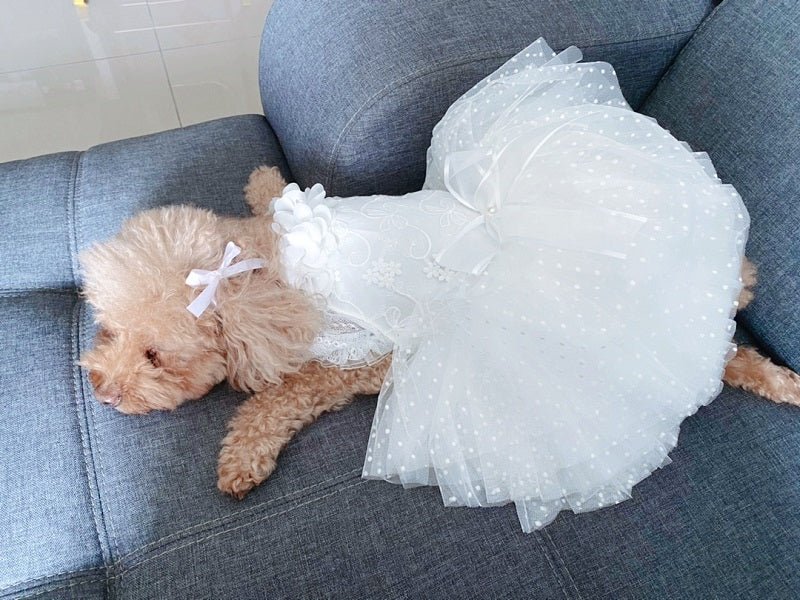 White pet wedding dress with textured tulle bodice and layered tulle skirt, on dog