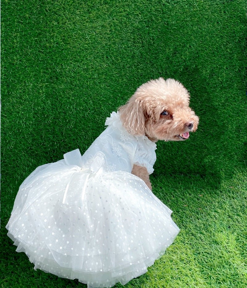 White pet wedding dress with full tulle skirt and satin waist bow, on small dog