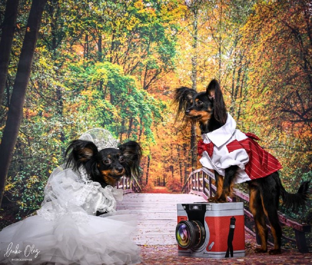Dogs wearing white bridal veils with pearl crown tiaras in a garden setting
