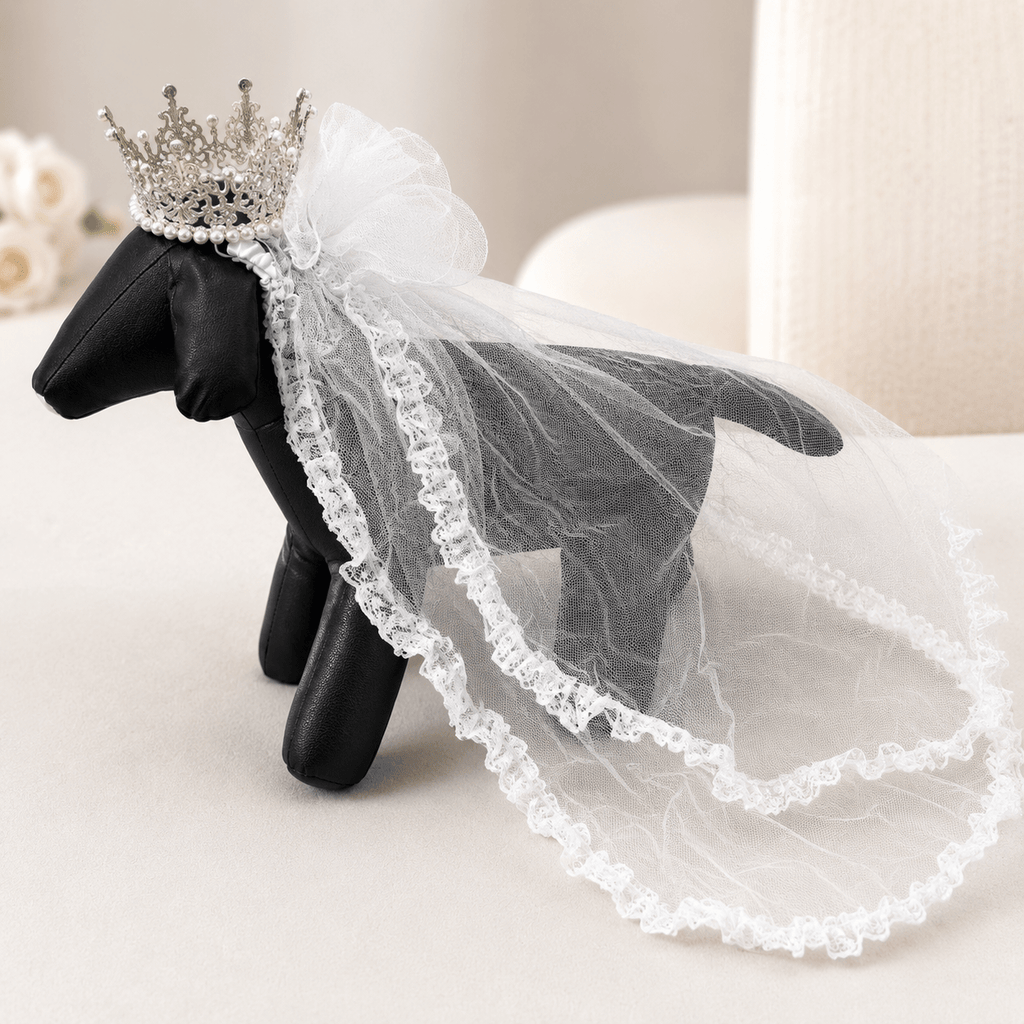 White sheer pet veil with ruffled lace trim and silver pearl crown tiara